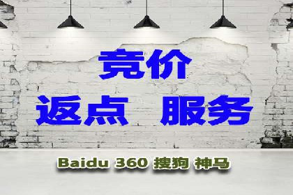 某公司sem代运营机构合作案例：业绩翻倍的秘诀