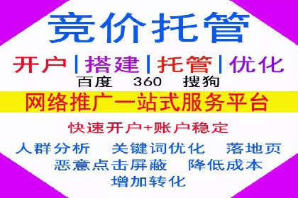 实战解析：SEM网络推广成功案例分享